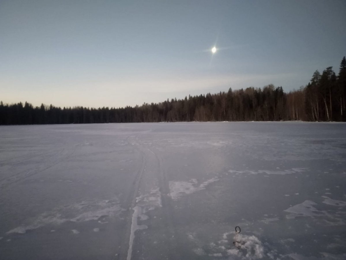 WhatsApp Image 2025-01-19 at 19.45.33(1).jpeg