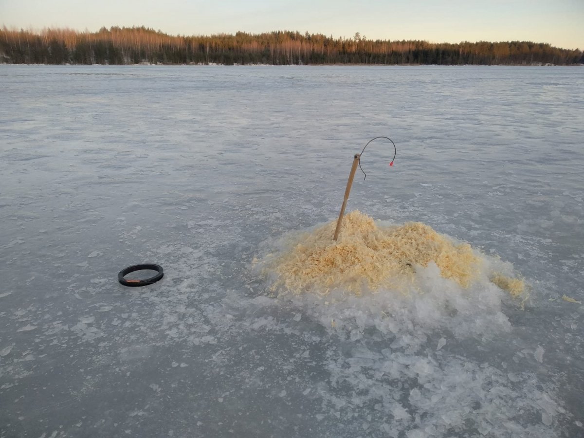 WhatsApp Image 2025-01-21 at 17.41.03.jpeg