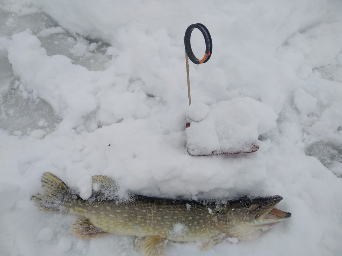 WhatsApp Image 2025-01-10 at 08.40.03.jpeg