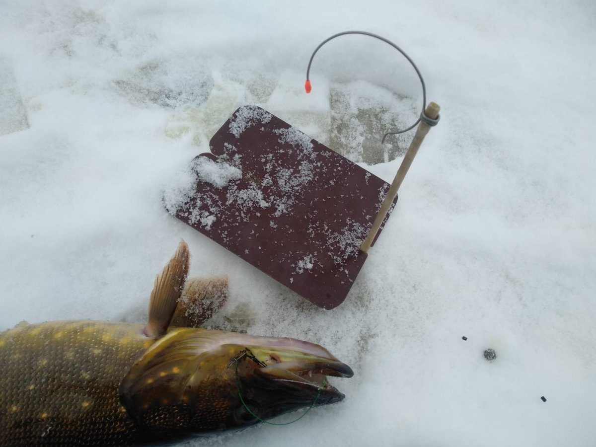 WhatsApp Image 2025-02-09 at 22.26.38(1).jpeg