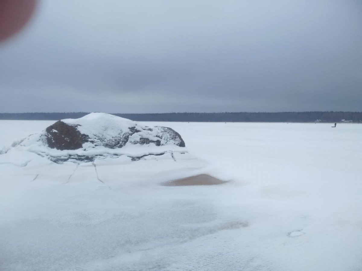 WhatsApp Image 2025-02-24 at 22.25.31.jpeg