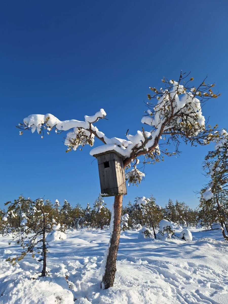 WhatsApp Image 2025-02-25 at 21.27.49.jpeg