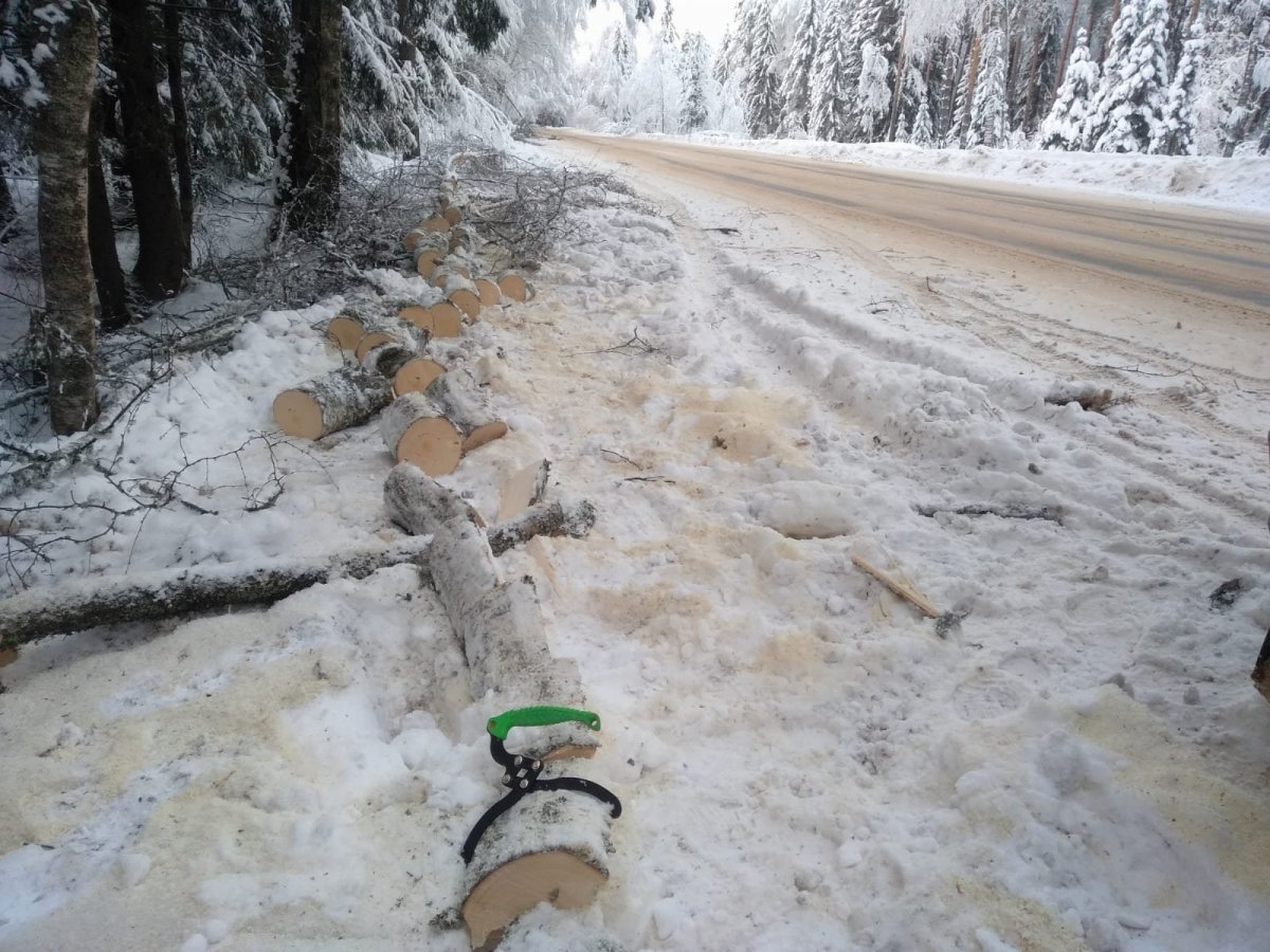 WhatsApp Image 2025-02-04 at 19.42.31.jpeg