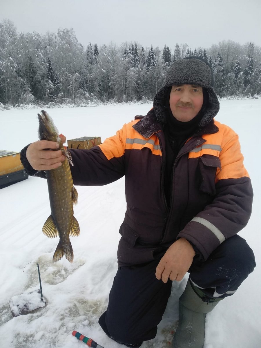 WhatsApp Image 2025-02-09 at 22.26.36(2).jpeg