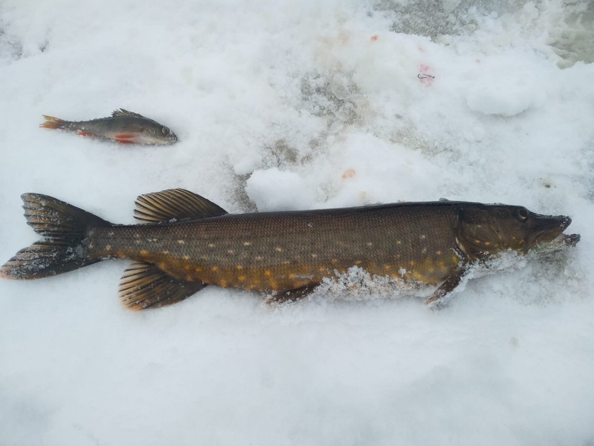 WhatsApp Image 2025-02-09 at 22.26.36.jpeg