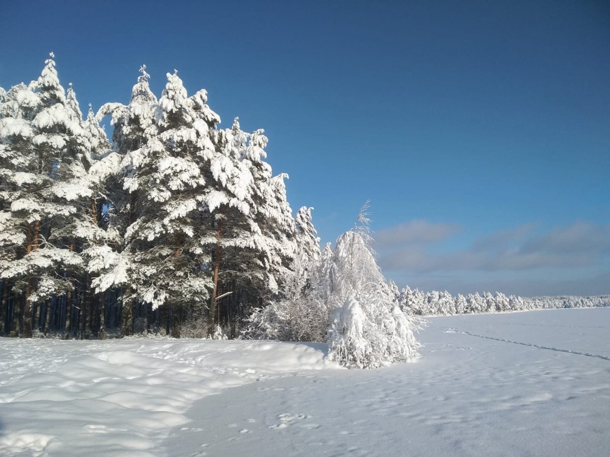 WhatsApp Image 2025-02-04 at 19.42.32.jpeg