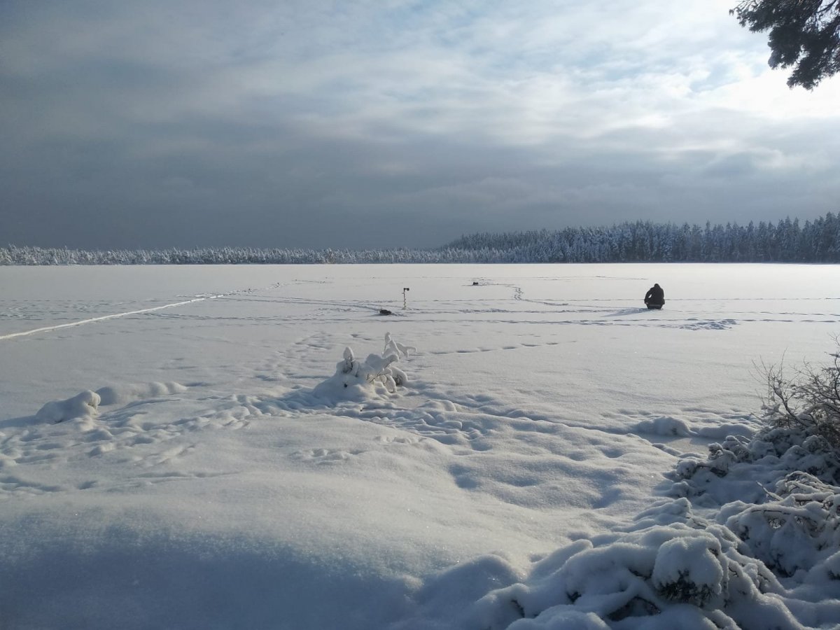 WhatsApp Image 2025-02-04 at 19.42.32(1).jpeg