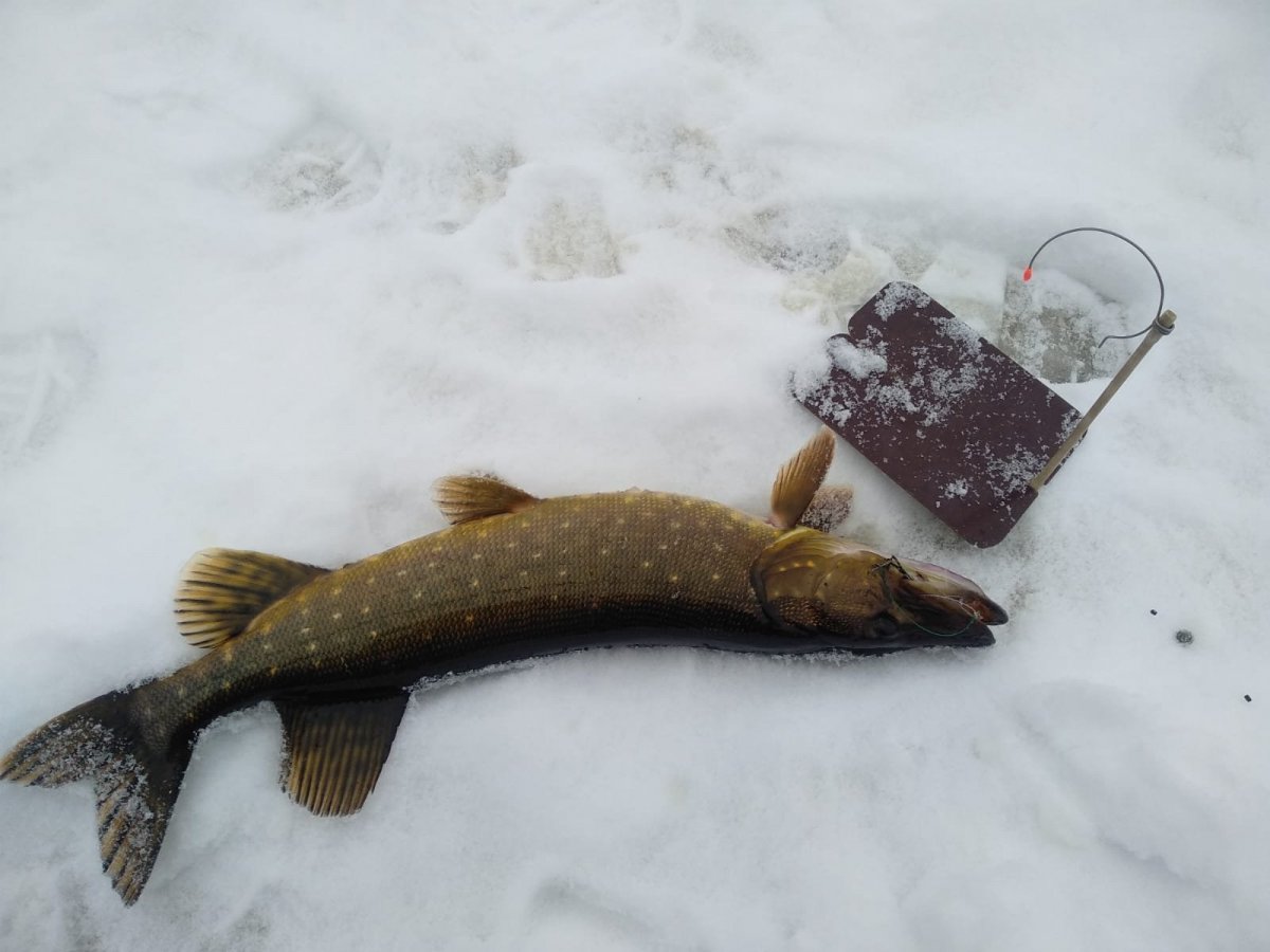 WhatsApp Image 2025-02-09 at 22.26.38.jpeg