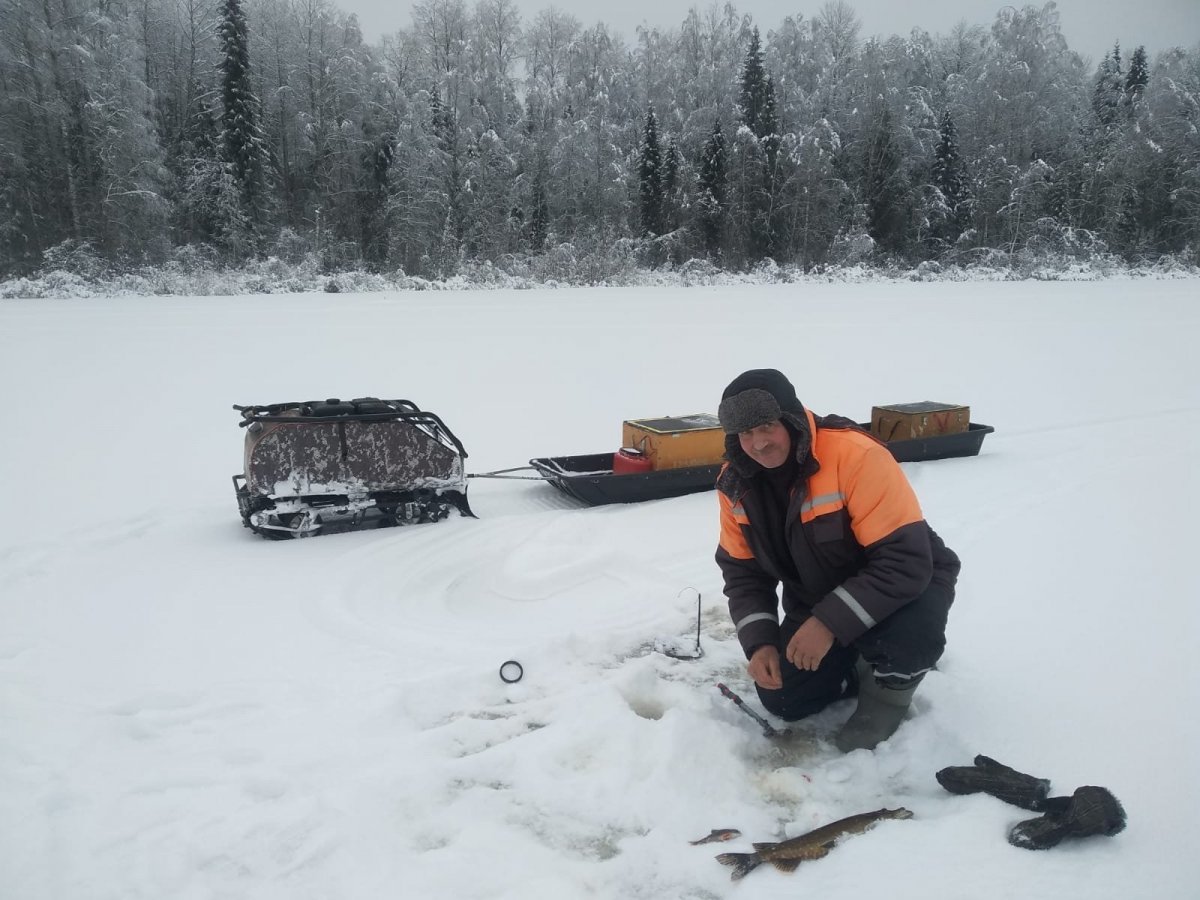 WhatsApp Image 2025-02-09 at 22.26.36(1).jpeg