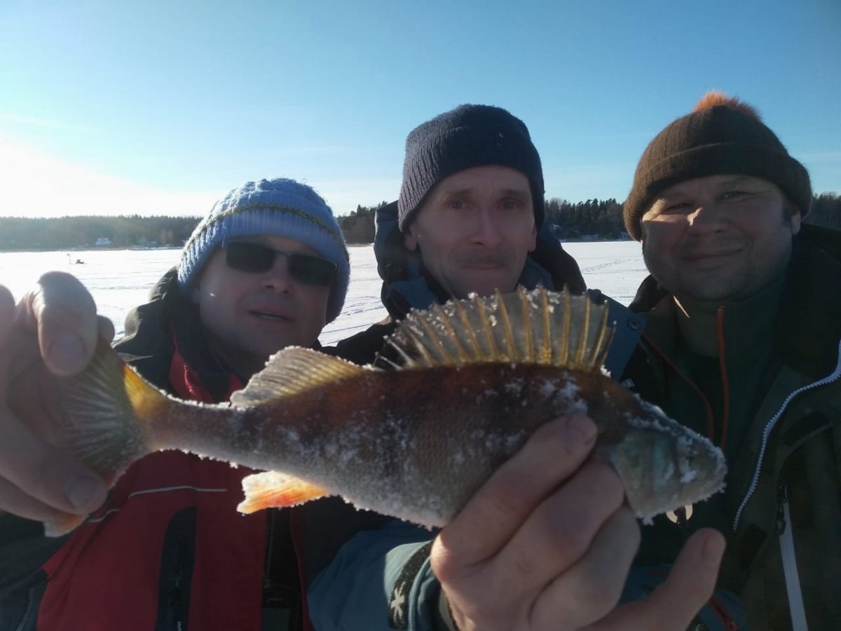 WhatsApp Image 2025-02-21 at 06.30.51.jpeg