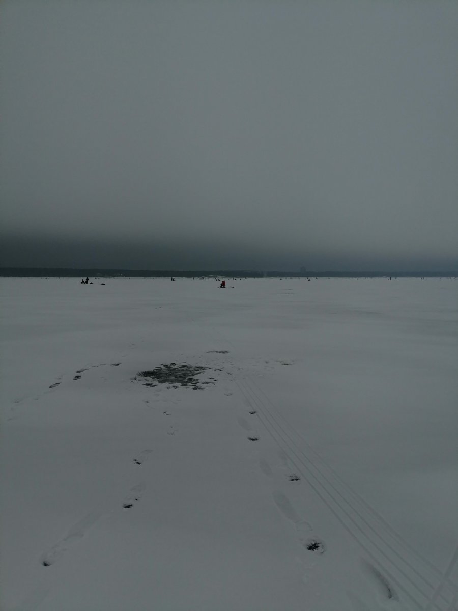 IMG_20250209_143758.jpg