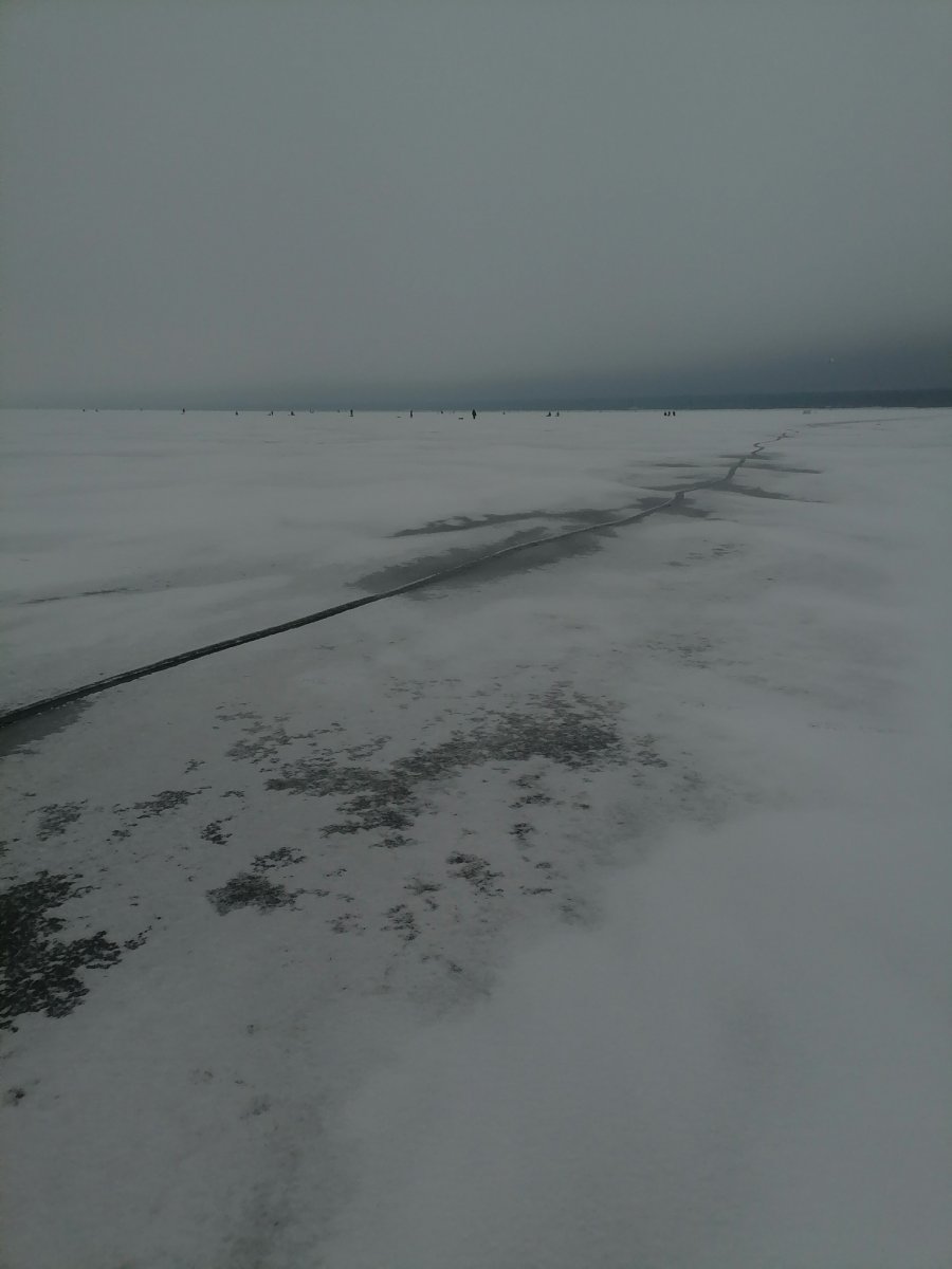 IMG_20250209_153321.jpg