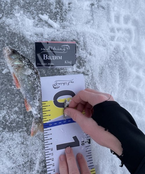 Зачетная рыба.JPG