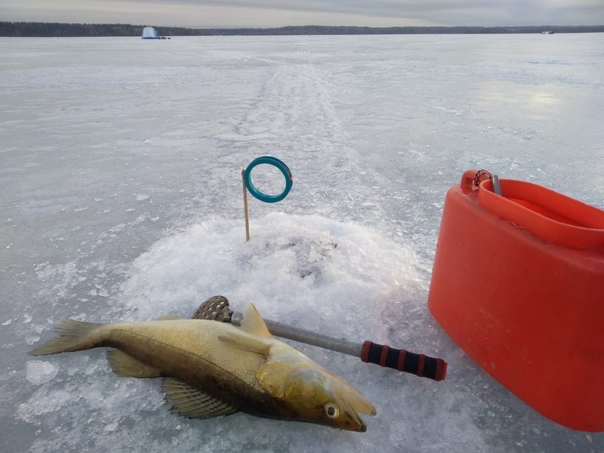 WhatsApp Image 2025-03-28 at 20.44.27(2).jpeg