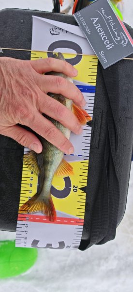 Туса Максфишинга 2025 зима