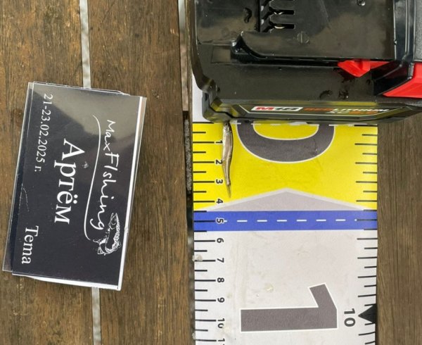 Туса Максфишинга 2025 зима