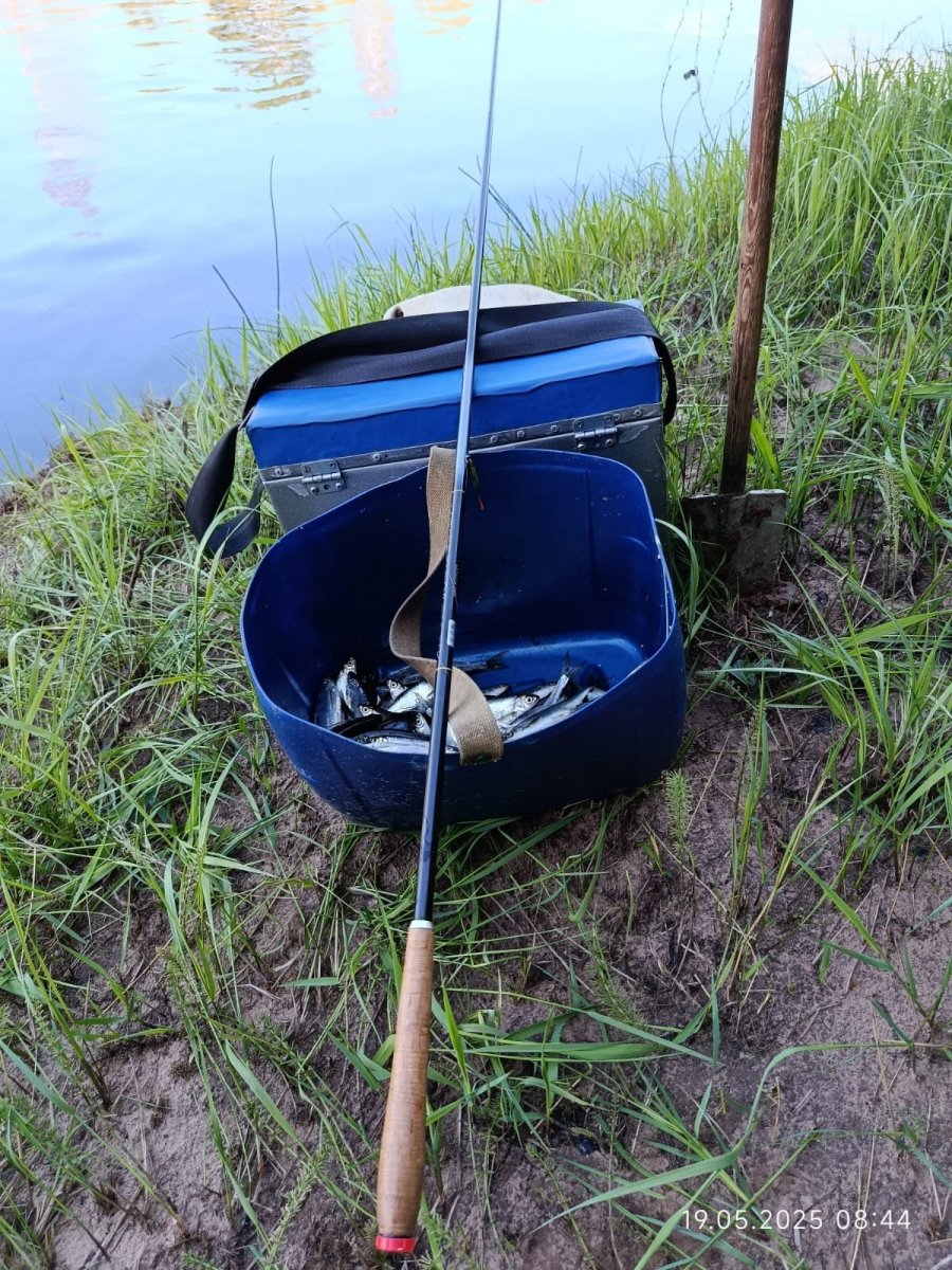 WhatsApp Image 2025-05-20 at 21.28.57(1).jpeg