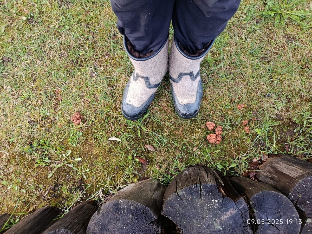 WhatsApp Image 2025-05-09 at 21.47.58.jpeg