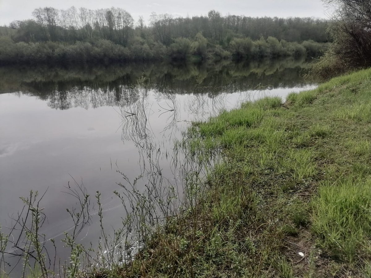 Изображение WhatsApp 2025-05-04 в 11.04.19_0de32a1e.jpg