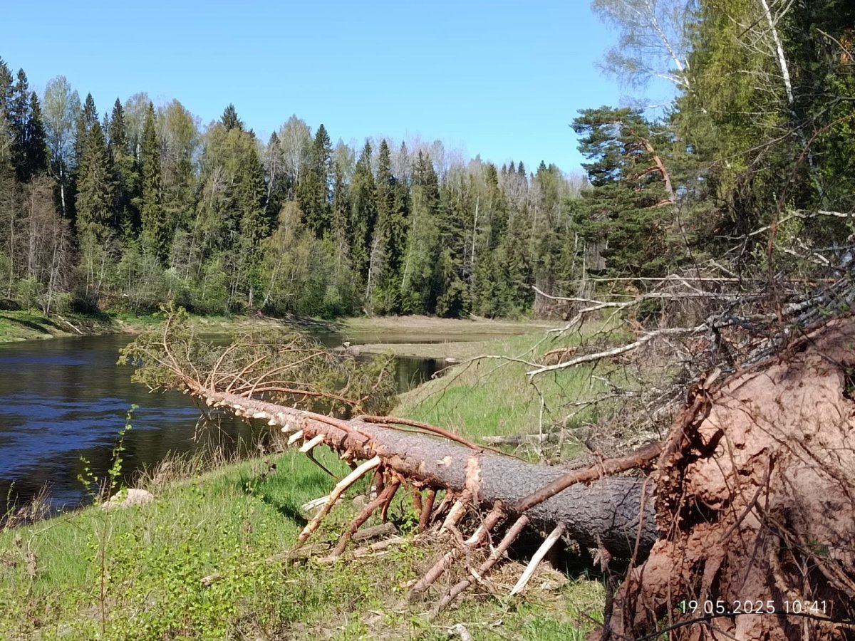 WhatsApp Image 2025-05-20 at 21.28.56.jpeg