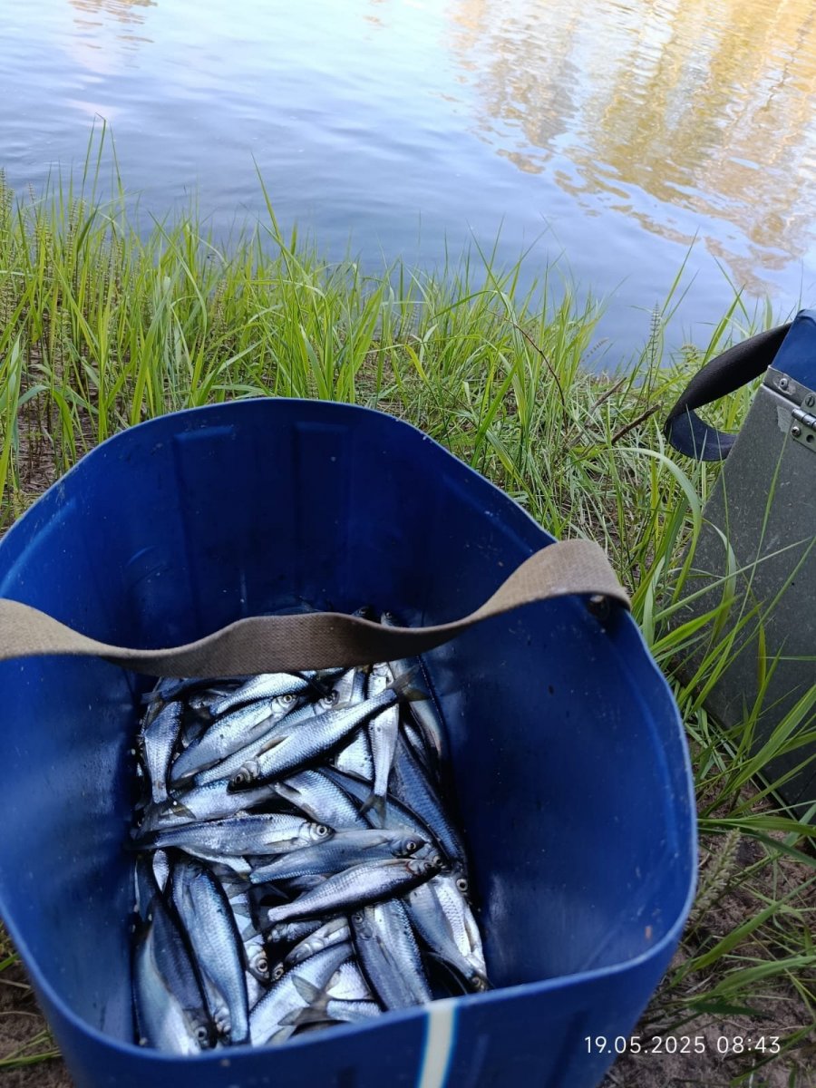 WhatsApp Image 2025-05-20 at 21.28.57(2).jpeg