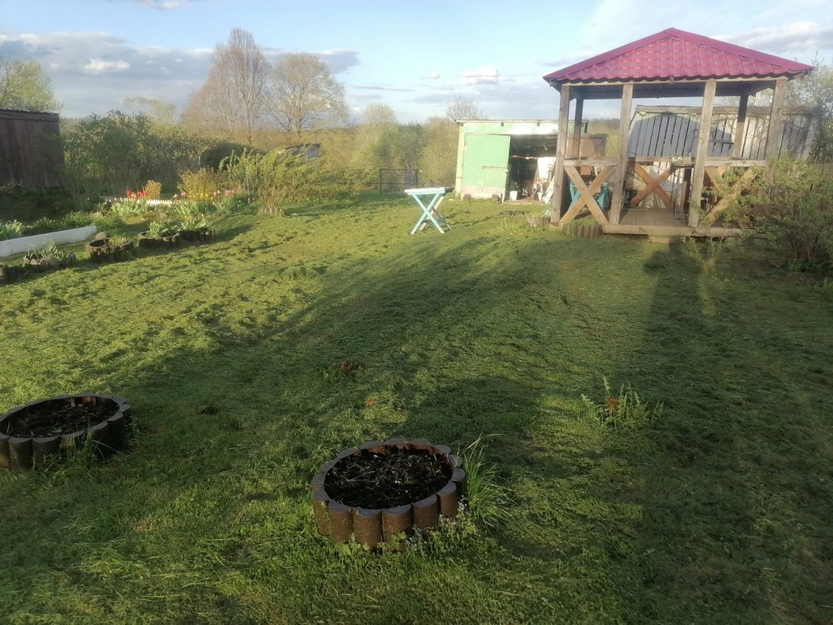 Изображение WhatsApp 2025-05-03 в 19.32.35_88f7b3b0.jpg