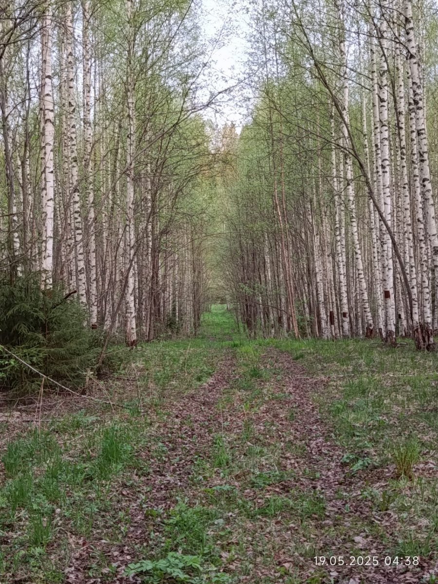 WhatsApp Image 2025-05-20 at 21.28.58.jpeg