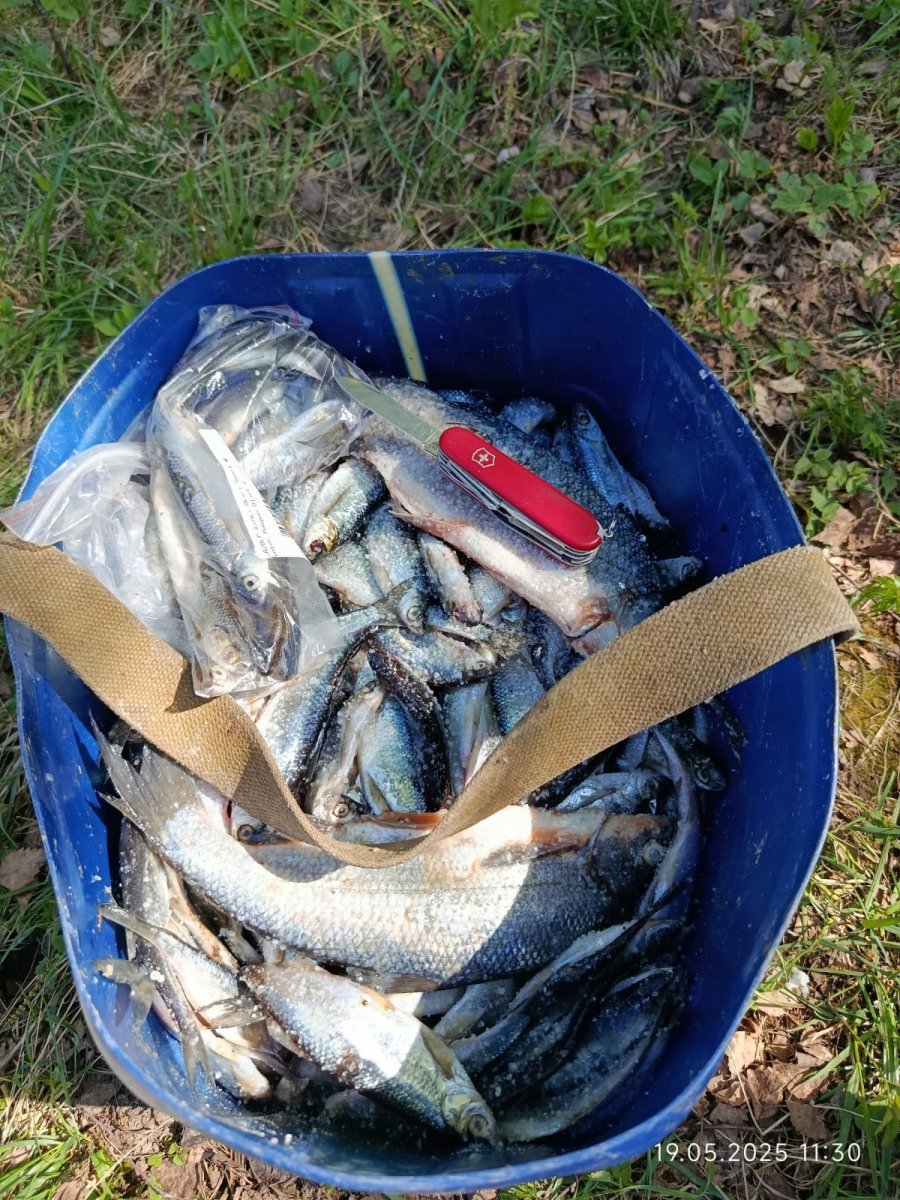 WhatsApp Image 2025-05-19 at 11.31.06.jpeg