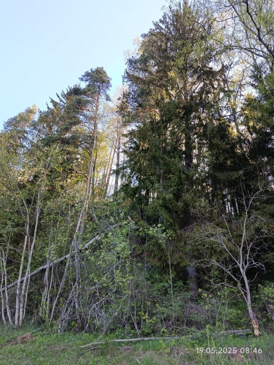 WhatsApp Image 2025-05-20 at 21.28.56(1).jpeg