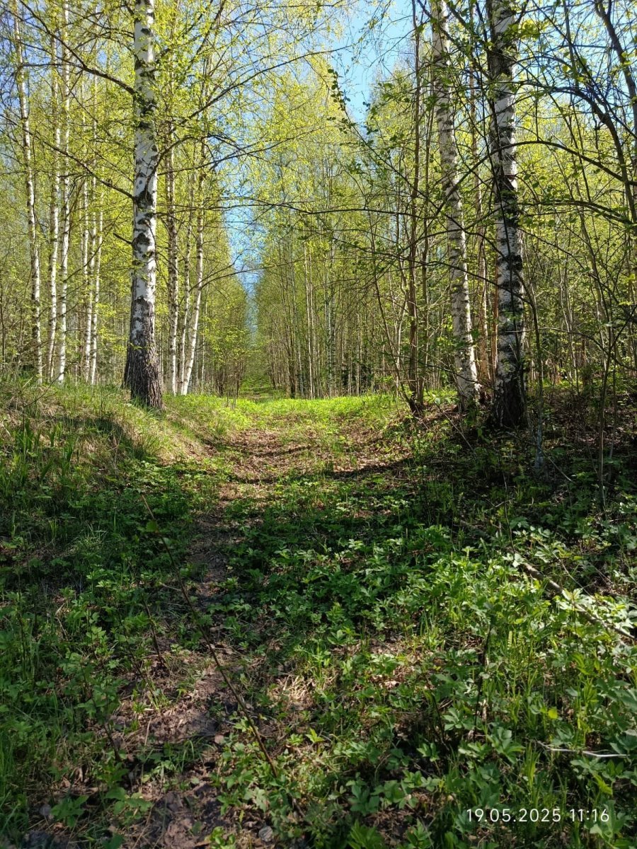 WhatsApp Image 2025-05-19 at 11.17.54.jpeg