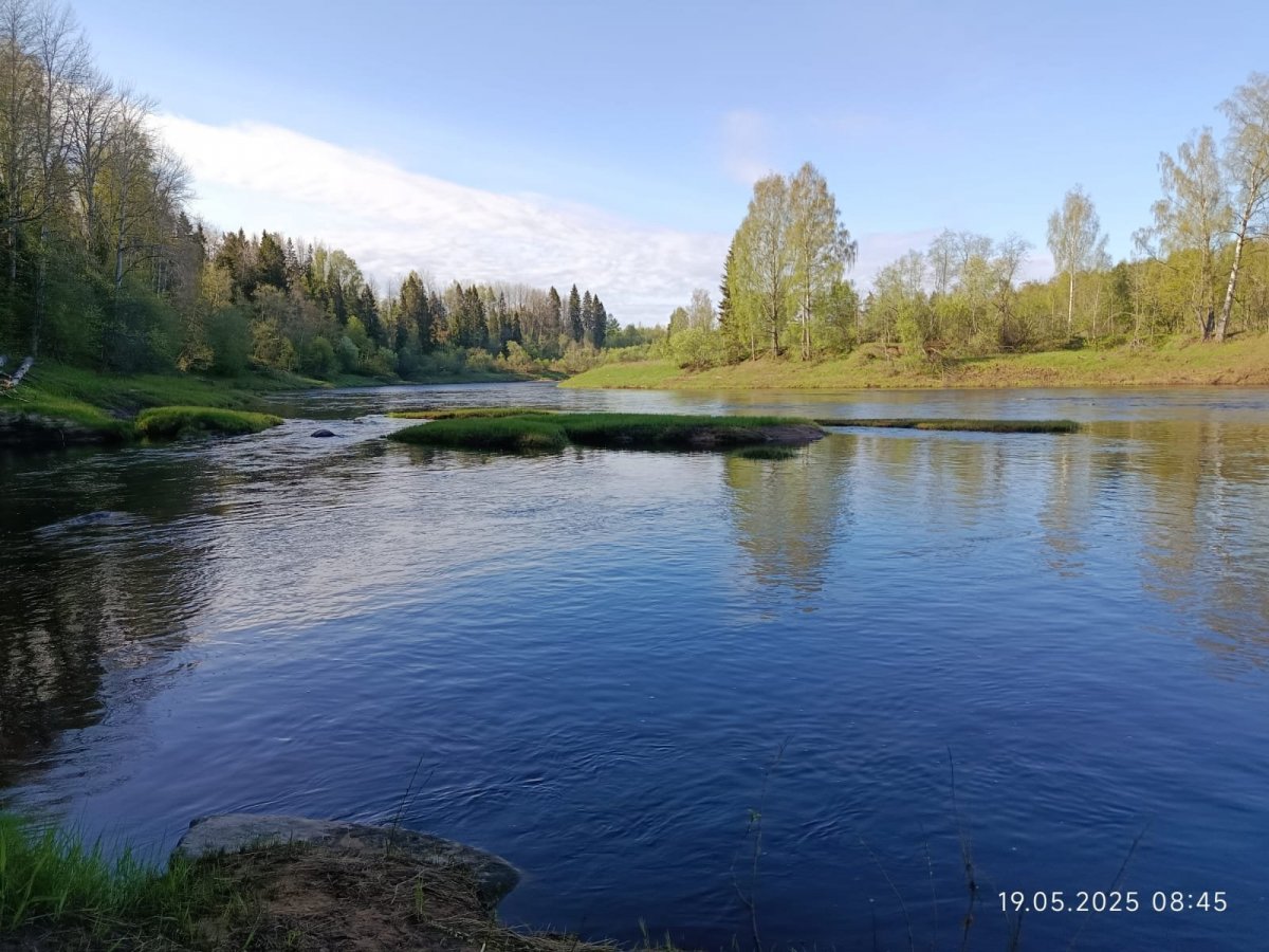 WhatsApp Image 2025-05-20 at 21.28.57.jpeg