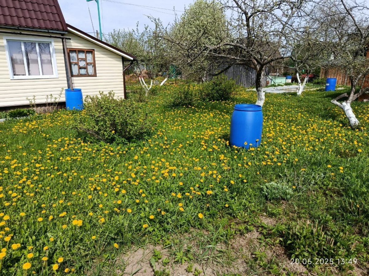 WhatsApp Image 2025-05-22 at 10.09.50.jpeg