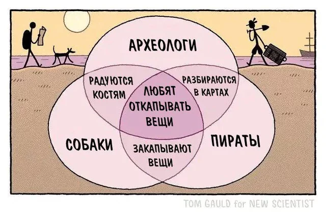 что-общего-у-археолога-пирата-и-собаки-v0-l5b9gklqzwze1.webp