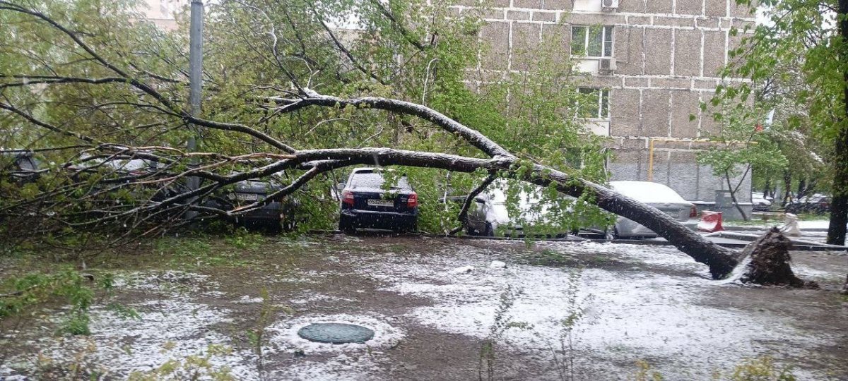Без имени.jpg