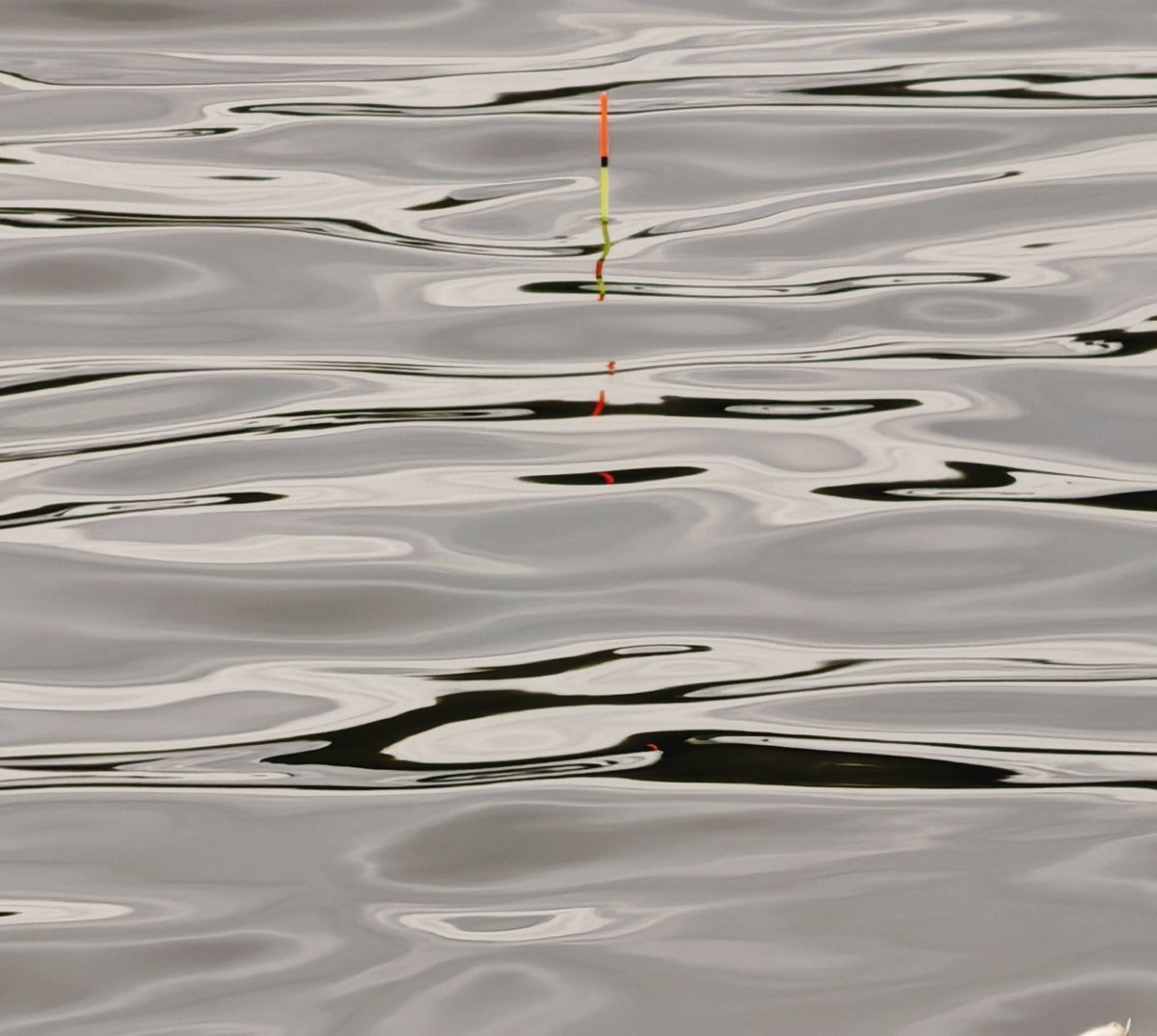scale_1200.jpg.ea8c73757df482107ea1fdb42a6abd33.jpg