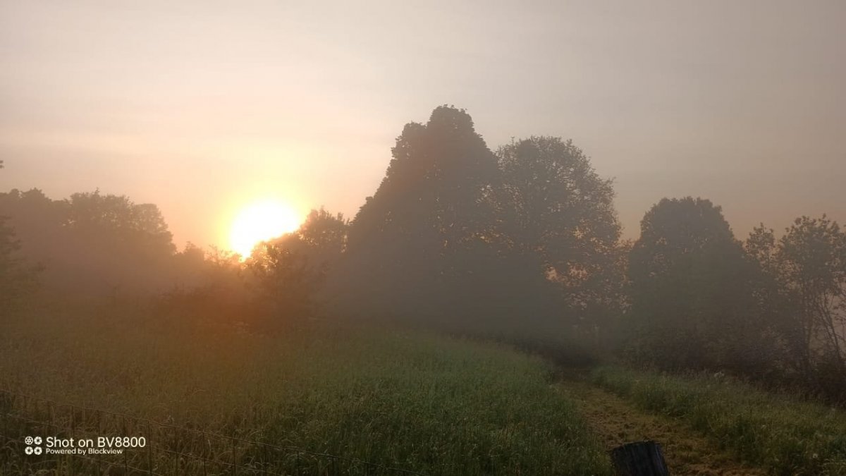 Изображение WhatsApp 2025-06-02 в 06.04.47_55bda0ee.jpg