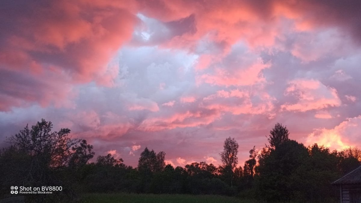 Изображение WhatsApp 2025-06-01 в 10.24.09_d0ad790a.jpg