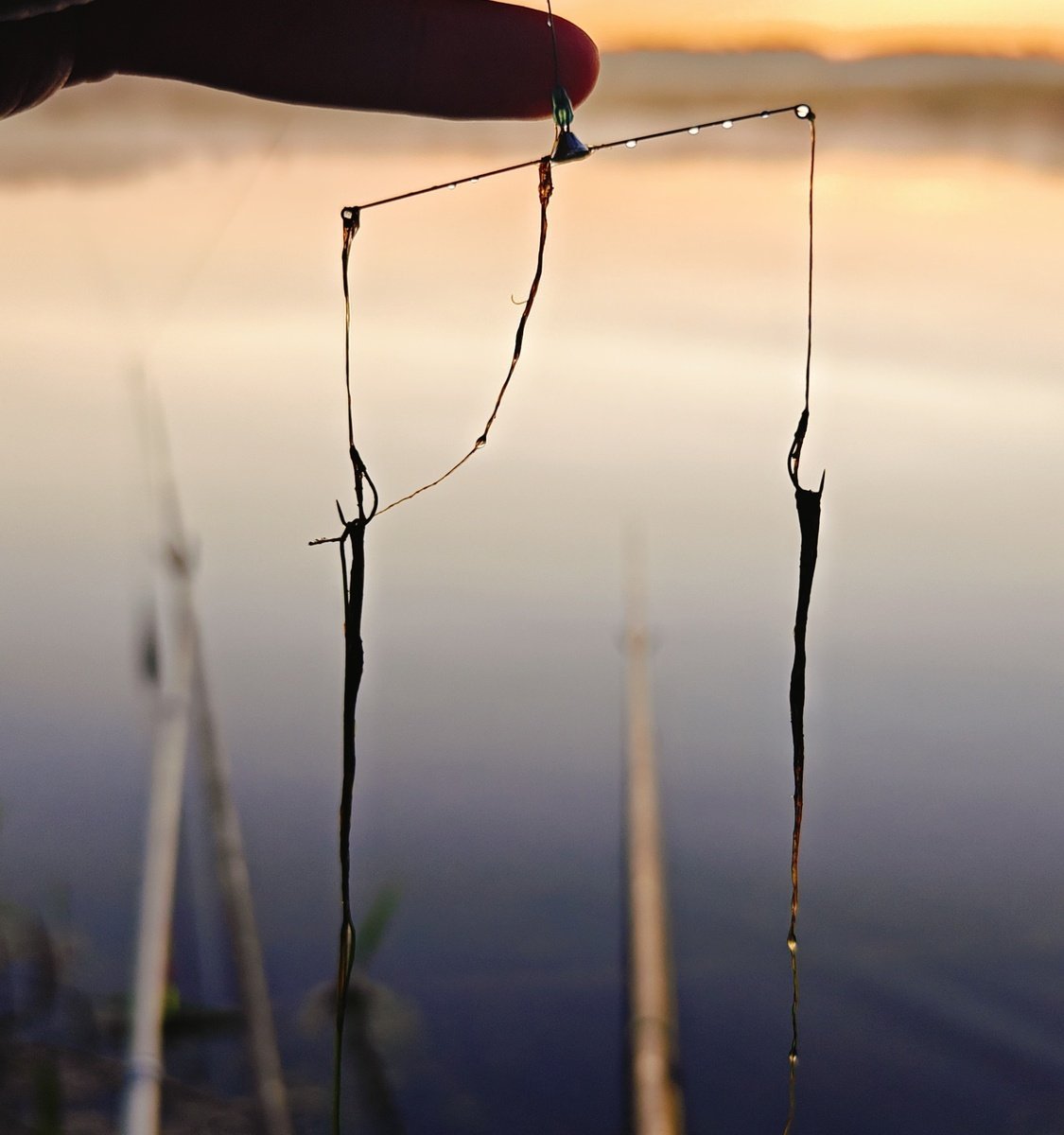 scale_1200.jpg.909fd5c0137300f410f230deae1fd9b8.jpg