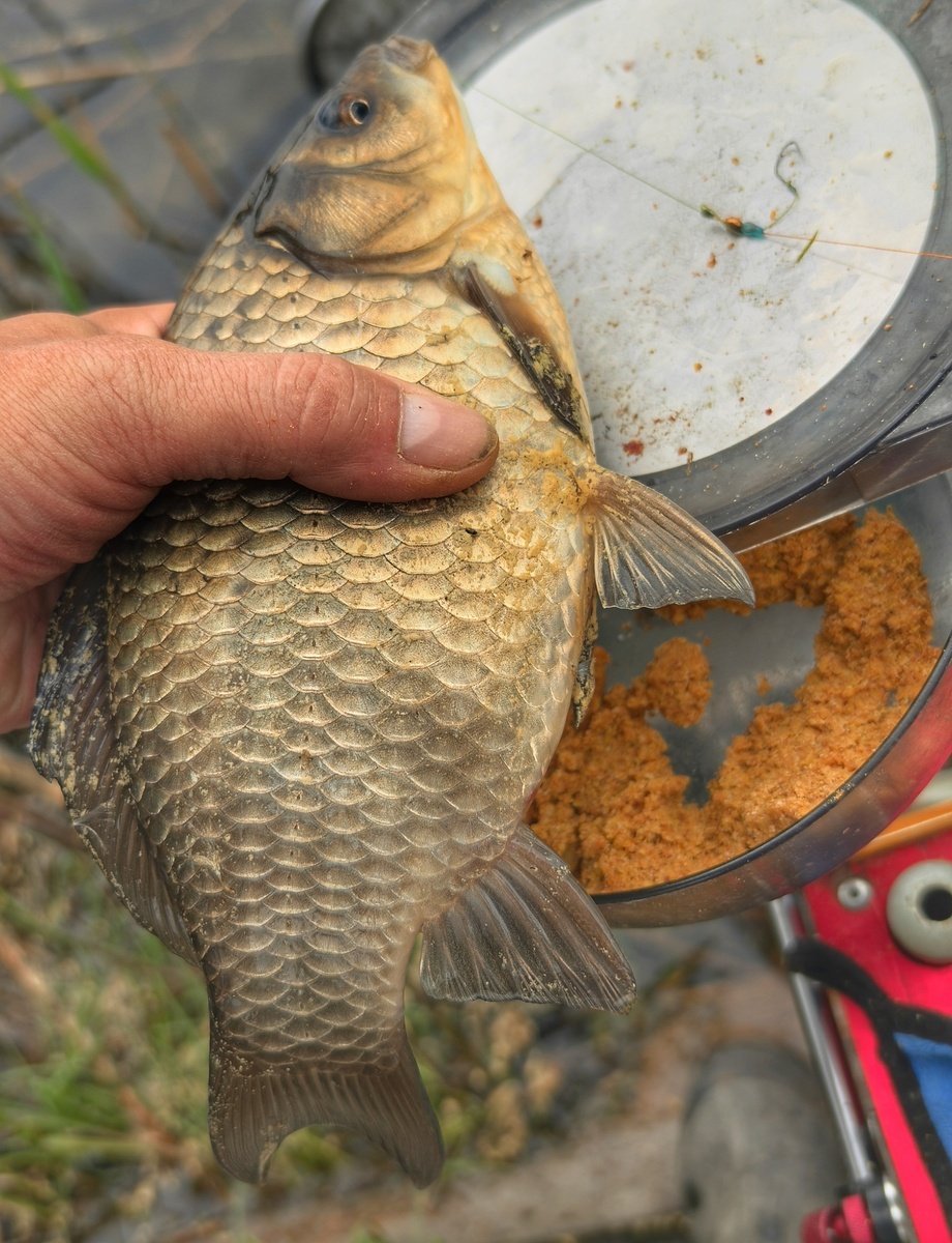 scale_1200.jpg.c5b270b998d1f871debe59292f3d47a2.jpg