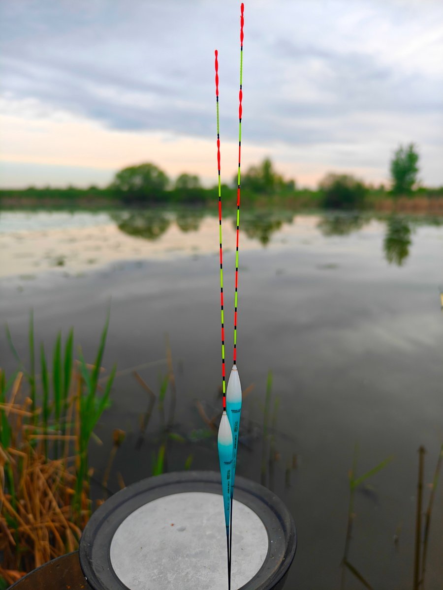scale_1200.jpg.e77fddae848f30e3a78c6d73c5b37c0c.jpg