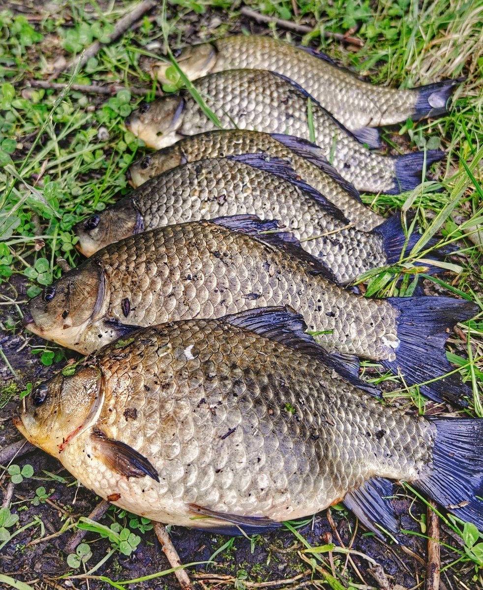 scale_1200.jpg.f1c7af19ad809c52e2c76176f5f83820.jpg