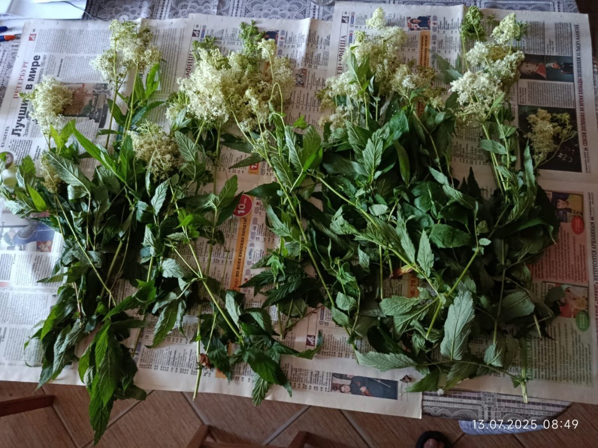 WhatsApp Image 2025-07-13 at 08.56.11.jpeg