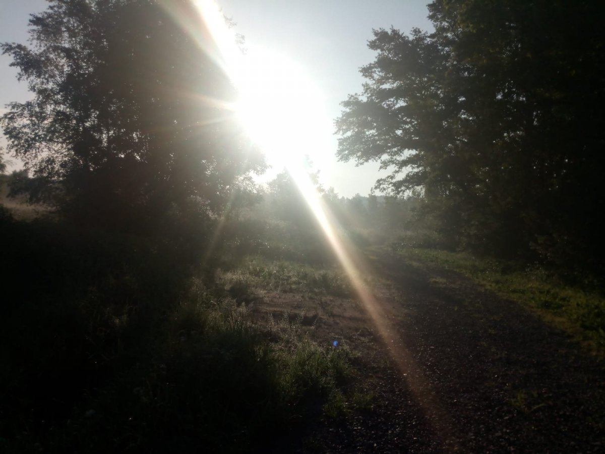 Изображение WhatsApp 2025-07-07 в 10.45.50_f2362098.jpg