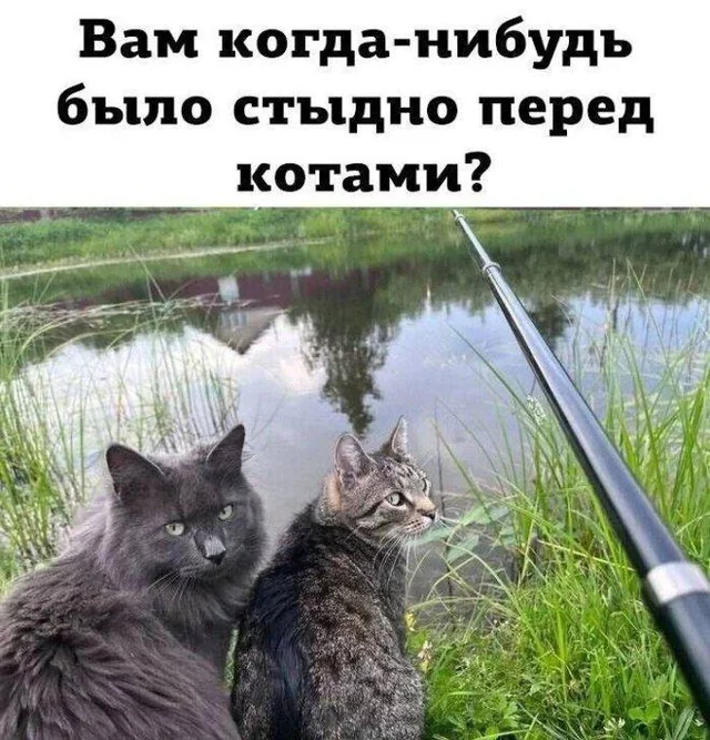поехали-говорит-сейчас-рыбов-наловим-ага-третий-час-уже-v0-d0nu4l21uoaf1.webp