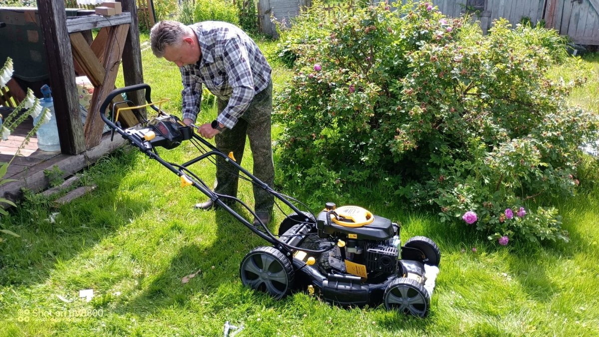 Изображение WhatsApp 2025-07-05 в 12.37.27_97a8b583.jpg