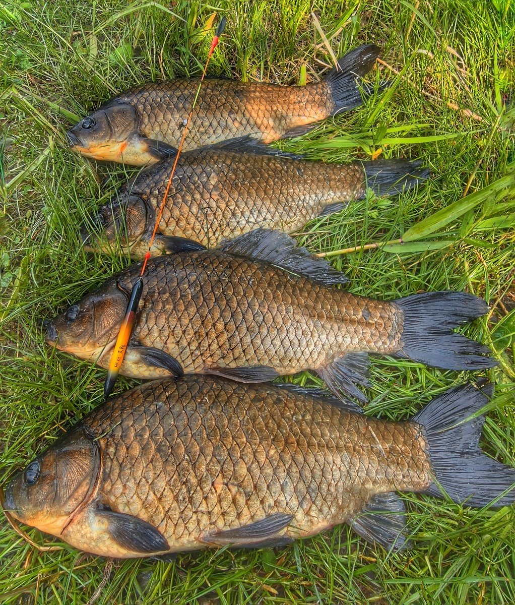 scale_1200.jpg.0bee114cf34b5b1a52e6e5ef2bcc5138.jpg