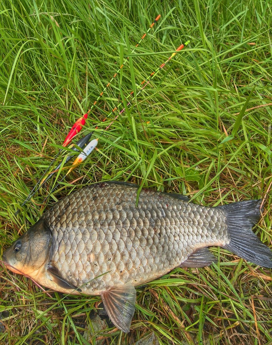 scale_1200.jpg.170dde2d910b2848d97fae0fd0ea2277.jpg