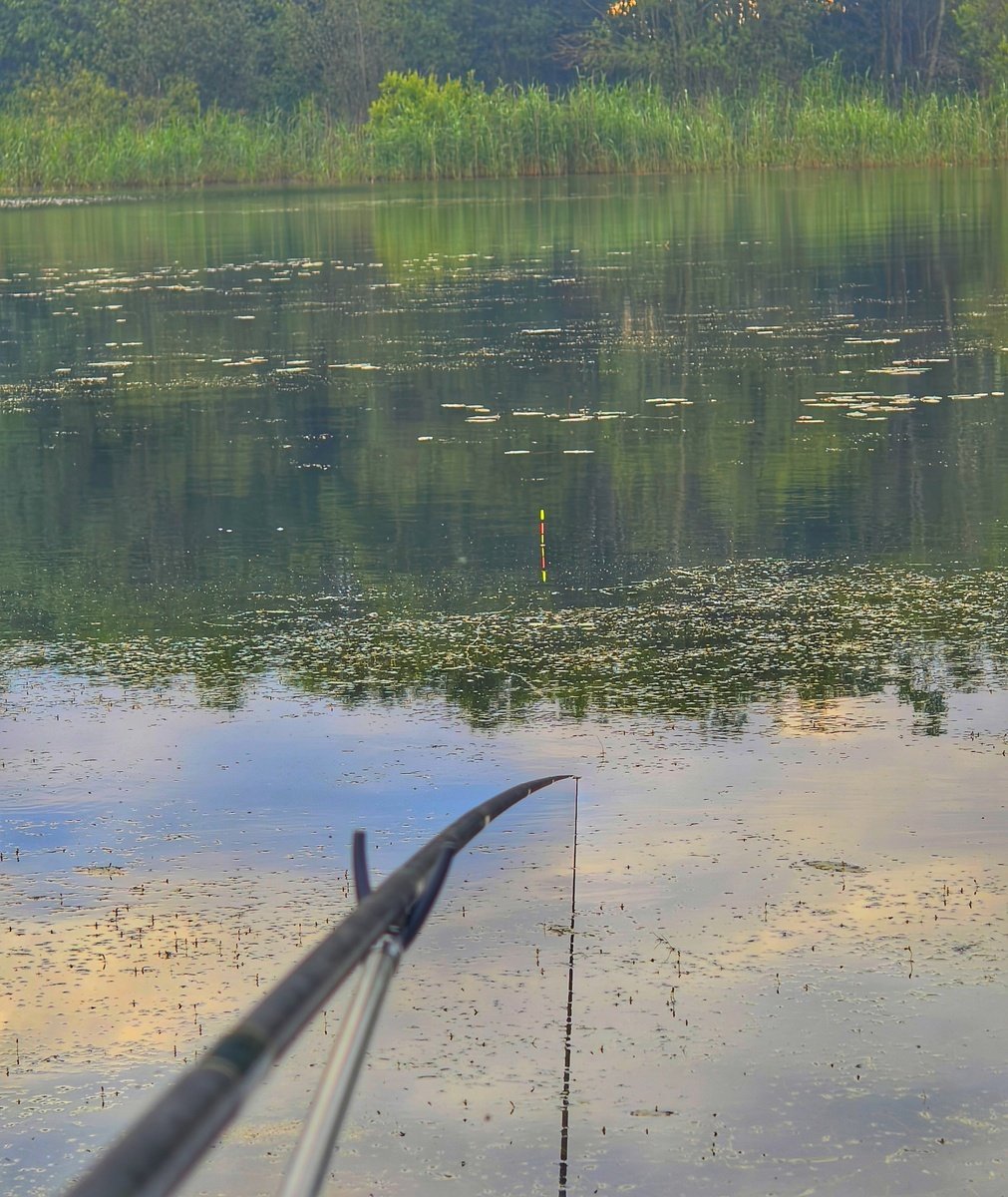 scale_1200.jpg.91c27a221e5ad60e4d98952813753494.jpg