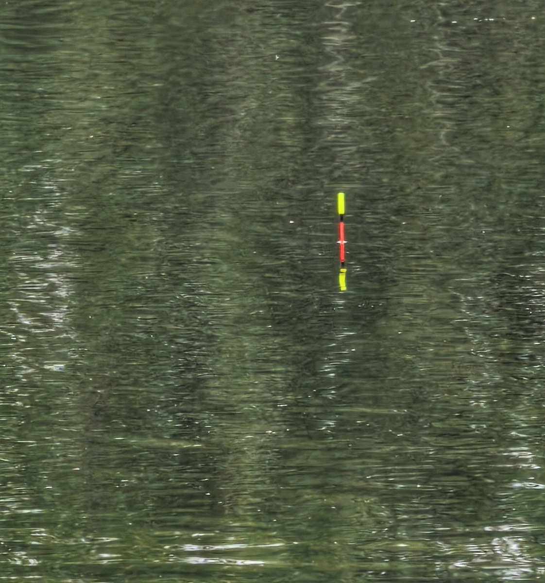 scale_1200.jpg.a4b141888f3ac325e263bf30bb8a7b31.jpg