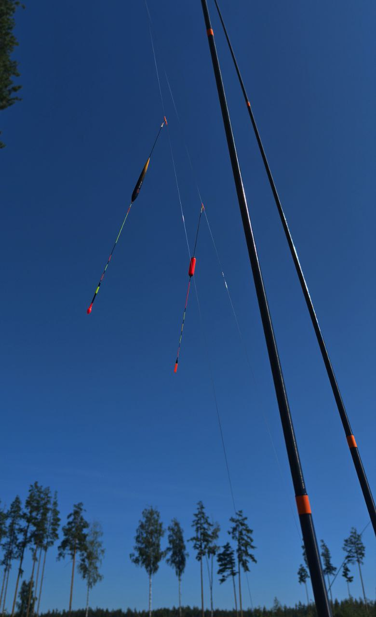 scale_1200.png.7b3a7366e7e3b0801d0a80fa23707c19.png
